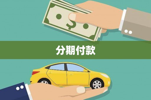 纳雍分期付款
