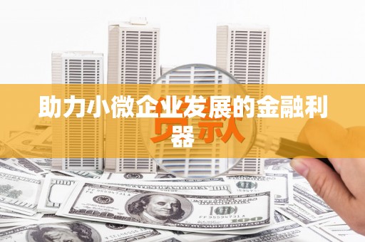 纳雍助力小微企业发展的金融利器