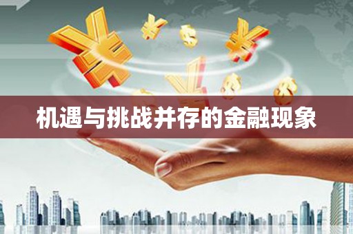 纳雍机遇与挑战并存的金融现象