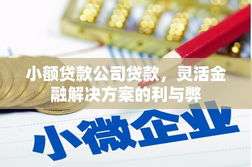 纳雍小额贷款公司贷款，灵活金融解决方案的利与弊